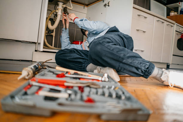 Best Faucet Repair  in Durand, MI