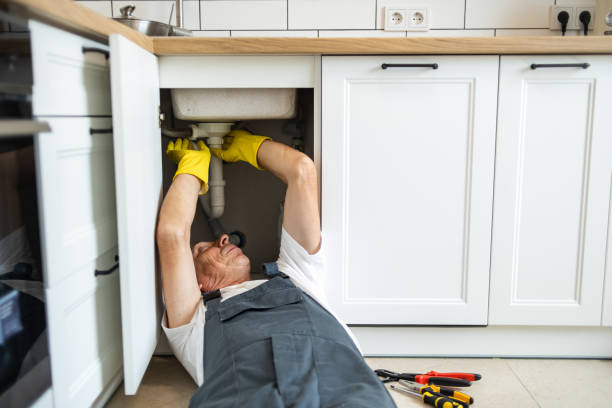 Best Toilet Repair Services  in Durand, MI