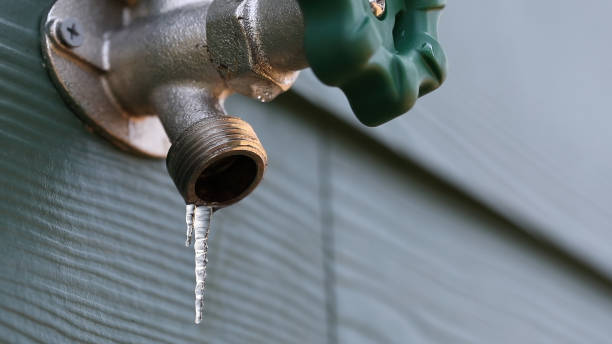 Best Local Plumber Services  in Durand, MI
